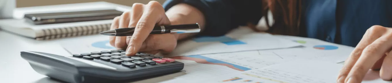 orçamento do estado 