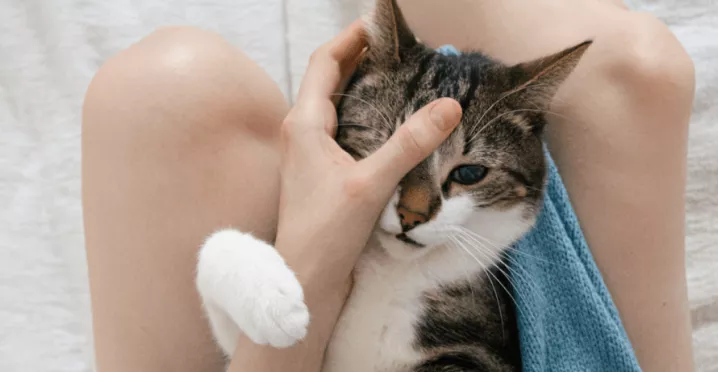 Benefícios sociais: 20 opções que pode oferecer aos seus colaboradores