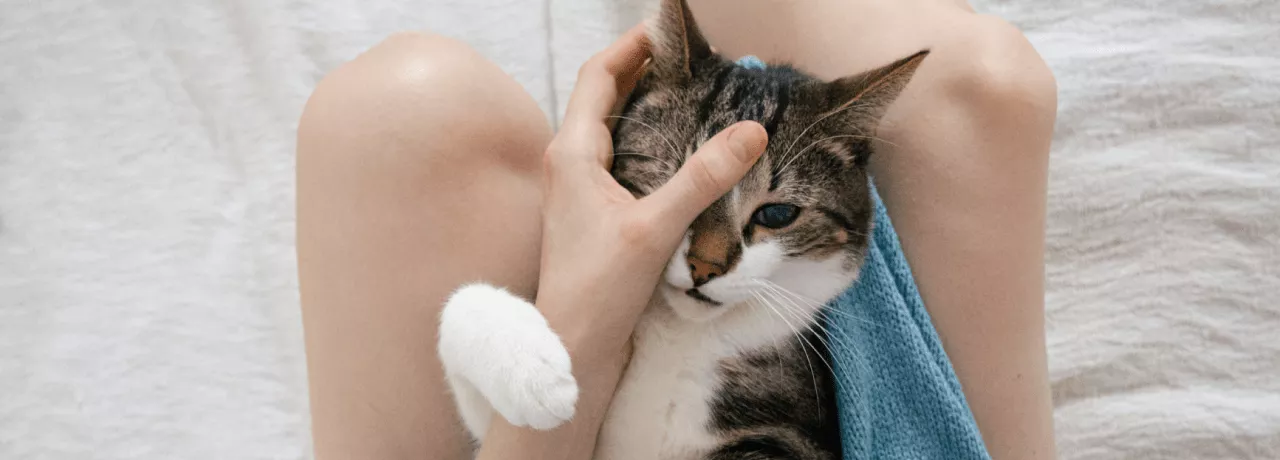 Benefícios sociais: 20 opções que pode oferecer aos seus colaboradores