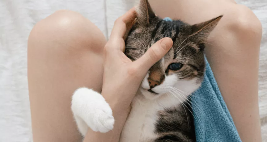 Benefícios sociais: 20 opções que pode oferecer aos seus colaboradores