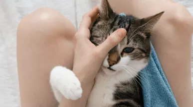 Benefícios sociais: 20 opções que pode oferecer aos seus colaboradores