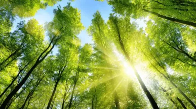 Banner pegada ecológica