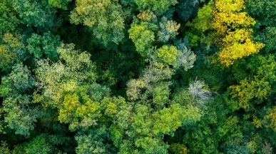 Banner Sustentabilidade